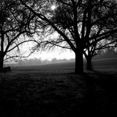 [ [ ZARKEN SAMPLE CHALLENGE ] ]