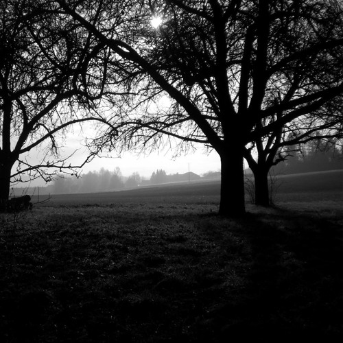 [ [ ZARKEN SAMPLE CHALLENGE ] ]