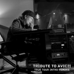 Avicii's True Tour Intro Remake