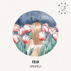 Premiere : F.E.M - Openfield (Original Mix) [Wabi Sabi]