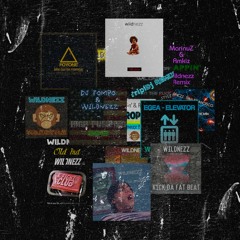 VENDO DISCOGRAFÍA COMPLETA [35€] - WILDNEZZ