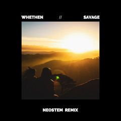 Savage ft. Flux Pavilion & MAX (Neostem Remix)