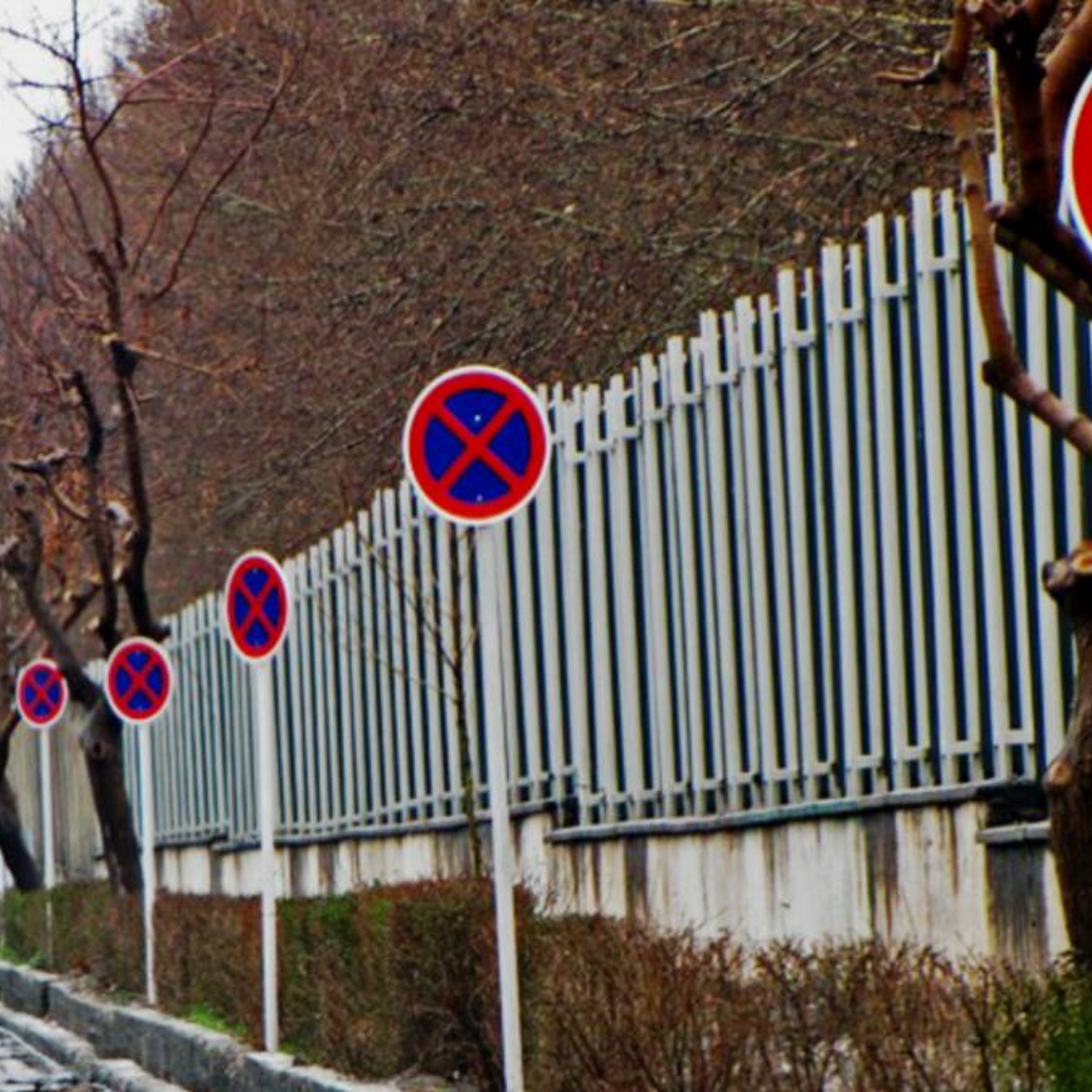 محدودیت‌های تحصیلی برای پیروان «ادیان غیررسمی»؛ دیدگاه عرفان ثابتی
