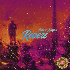 Flawed Mangoes - Revere