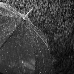 tears in the rain feat.悠月麻衣 [FREE DL]