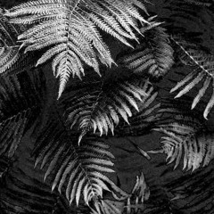Apep&Elepsy - Foaie Verde 220 BPM Mastered