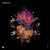Artwork for Nicole Moudaber — This Is Us — A-Sides Vol. 8 — Drumcode — DC211