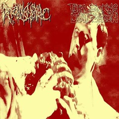 total fucking destruction and analkholic: "attack of the infected" digital collaborative "unsplit"