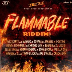 Flammable Riddim Mix