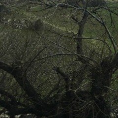 MOREISLESS - DYING IN THE BOOTH