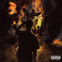 Perfect Disaster (feat. Trevor Carignan)