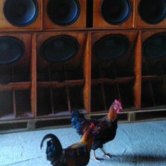 Mixtape no.1  -  First DVS Test