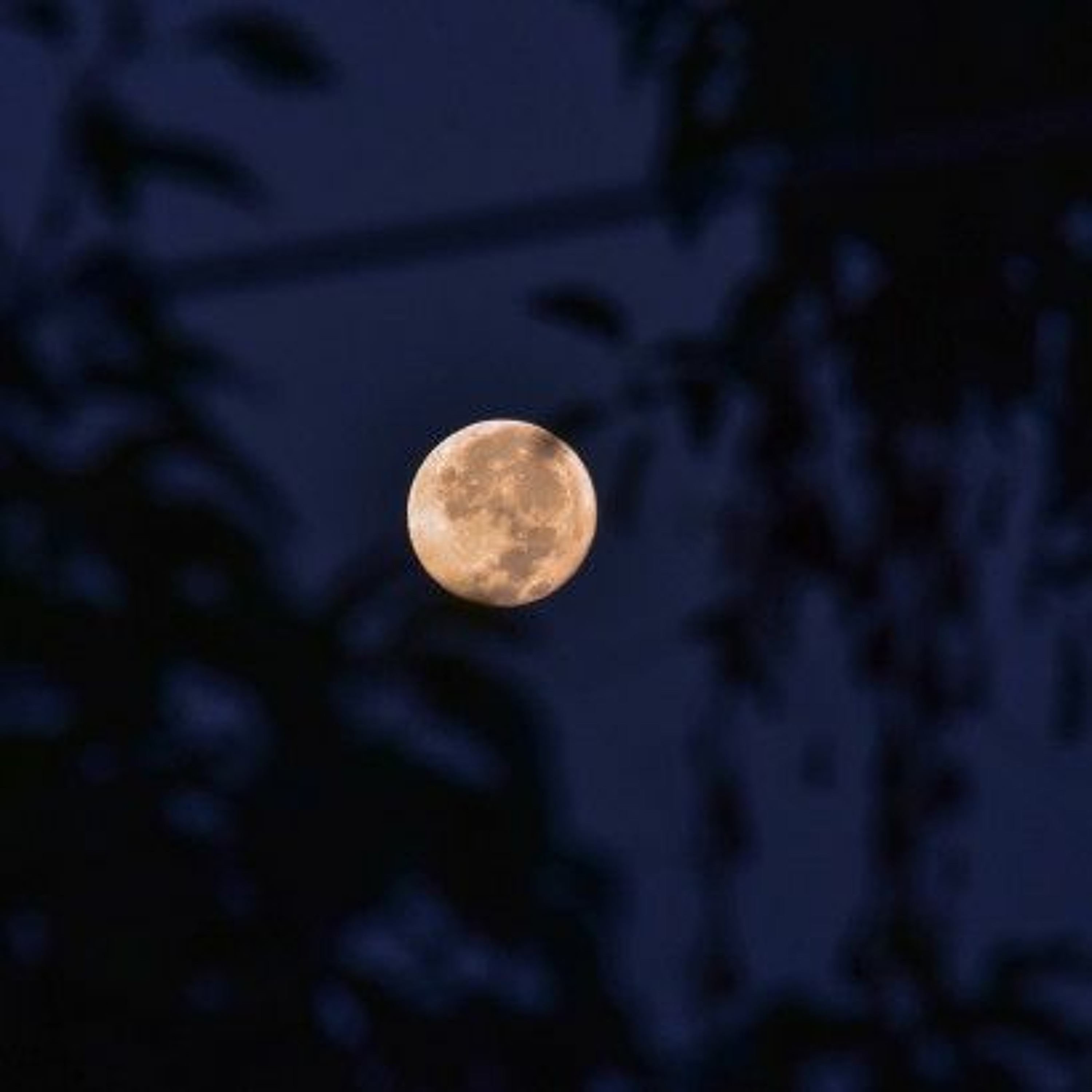 Dave Katie Discuss Tonights Harvest Moon episode artwork
