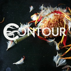 Contour - Above You