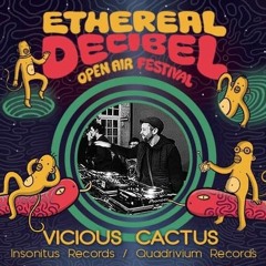 Vicious Cactus @ Ethereal Decibel Festival - The Pit (Mid - Tempo) - FREE DL