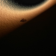 IdleSun - Narelle