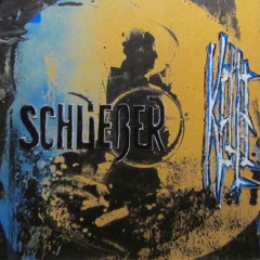 Schließer (Der volle Zugang)