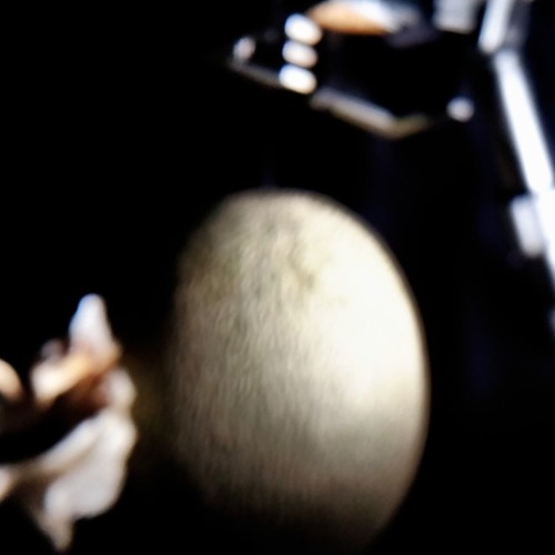 Why Do You Want To Know My Secrets?