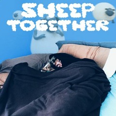 SHEEP TOGETHER (prod. omgsora)