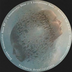 Drug4u - Monoacidic Bass (D.N.S Remix) [Cut] Dreizehn Schallplatten