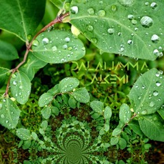 Solitude (ft. Alkemi)