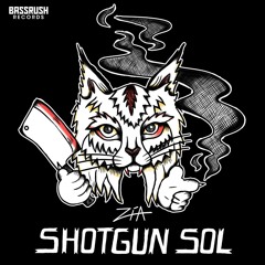 ZÍA - Shotgun Sol