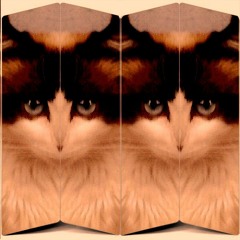 Células Ácidas - Poseídos (Free Download)