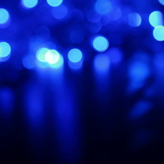 Painless - Sorkedy x ShiniKune