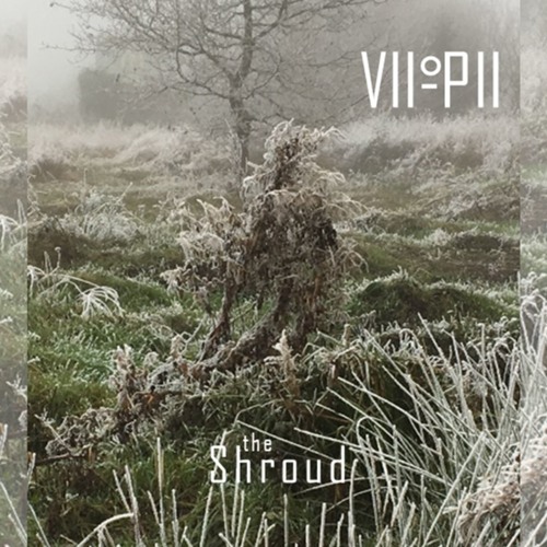 The Shroud