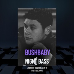 Bushbaby - Night Bass London Warm-Up Mix