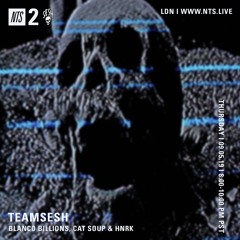 TeamSesh NTS 5th September 2019: cat soup, Blanco Billions & hnrk