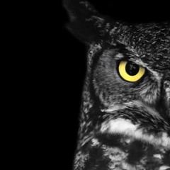 DaRcH - Great Horned Owl(Techno Set 09 - 2019)