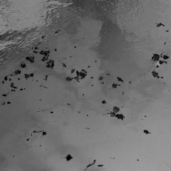 Detrito in acquapietra, ensemble - 2014