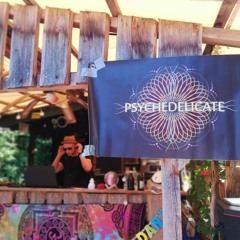 Morphing Mantra @ Psychedelicate Open Air, Holzplatz Diedorf, August 2019
