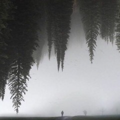 The World Belong To The Energetics.