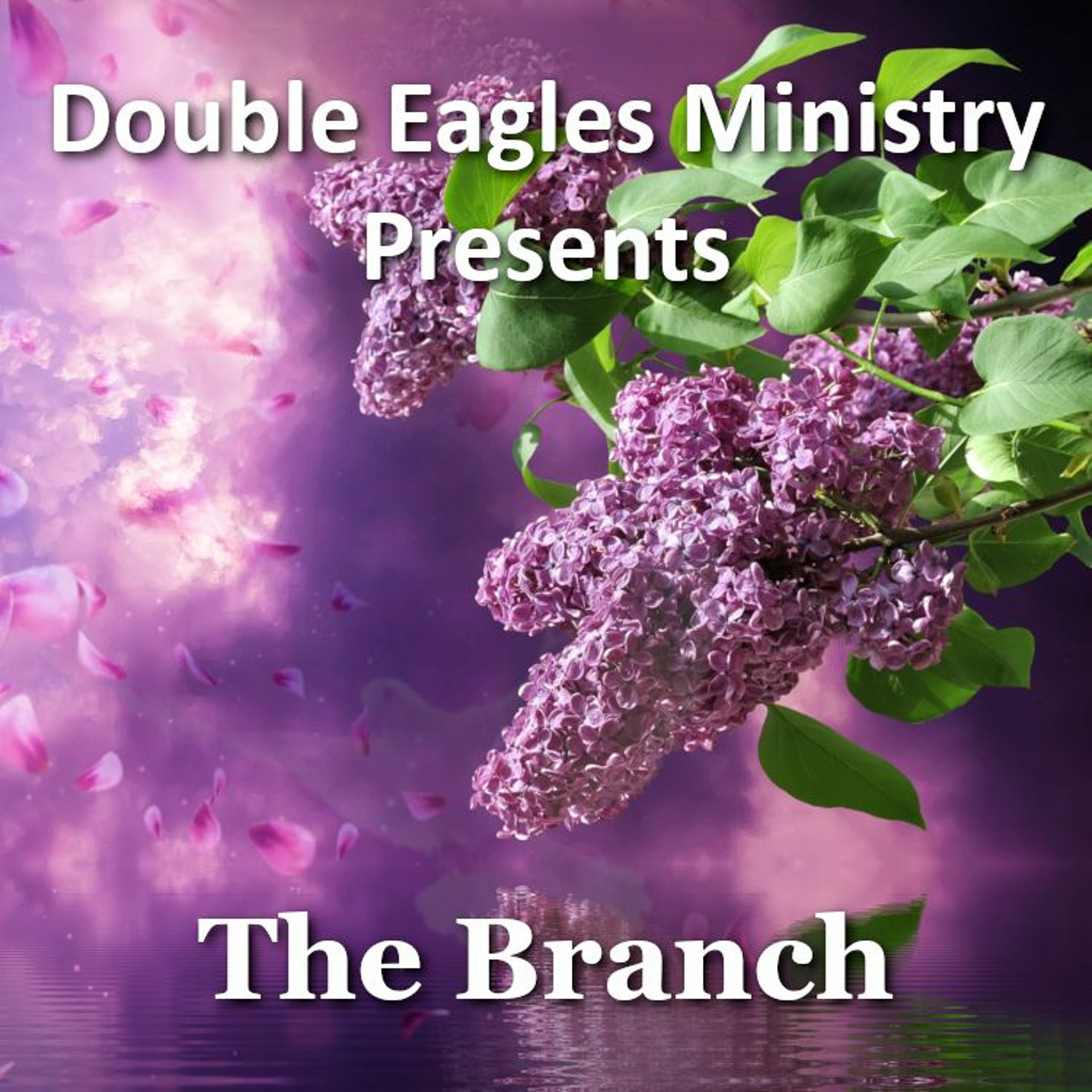 The Branch episode artwork