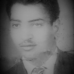 سعد الغامدي  سورة القصص