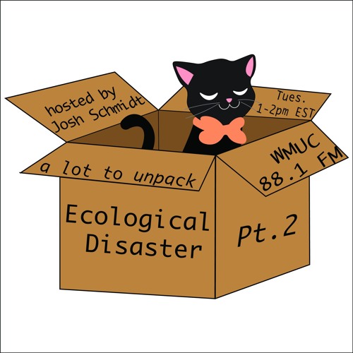 Unpacking Ecological Disasters Pt. 2
