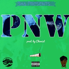 PNW (feat Tha Catalyst)