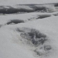 UNDERTHESEA <prod. premi punk>