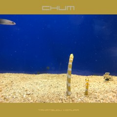 Chum