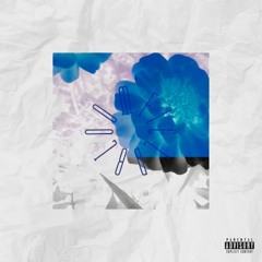 BLOOMFIELD FREESTYLE