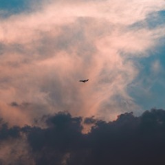 野小马 - 是什么让我遇见这样的你 (Cover: Joyce Jang)【動態歌詞/Lyrics Video】