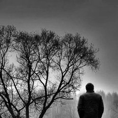 جميع تلاوات طارق محمد -