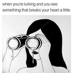 lurking by my window 148