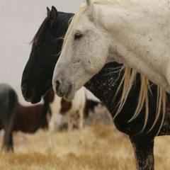 Mosique- Rise Up Feat. Onlyshanell and Triple C (Official Audio)