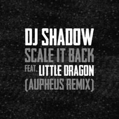 DJ Shadow - Scale It Back Ft. Little Dragon (Aupheus Remix)