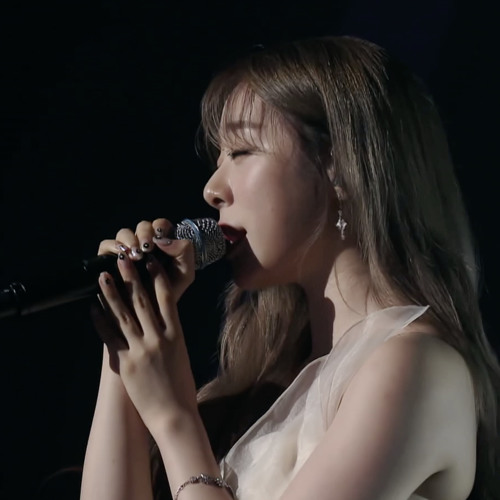 바람꽃