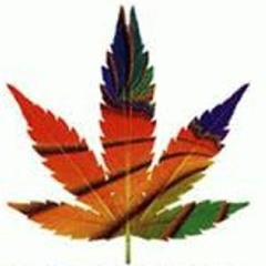 DUB  & Roots