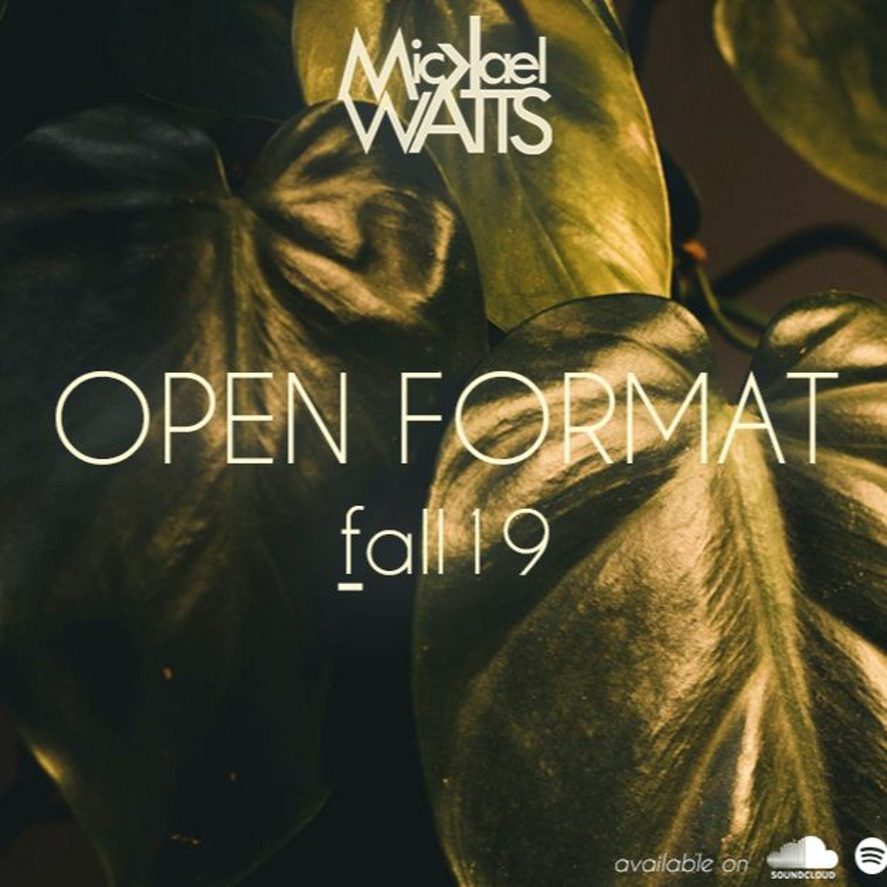 Open Format